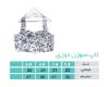 تصویر  تاپ  سوزندوزی سبز و سرخابی